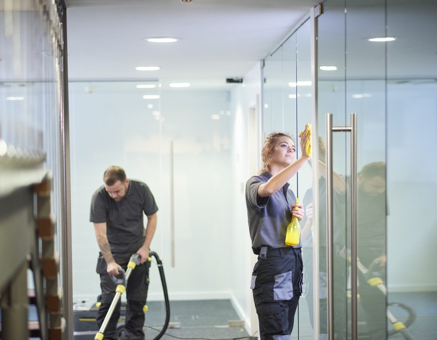 SwissWorx Reinigung